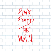Album image of The Wall