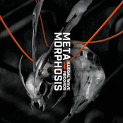 METAMORPHOSIS