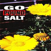 Go Pound Salt