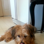 carefully constructed inconsistencies