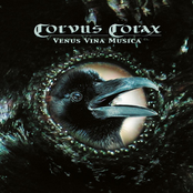 Venus Vina Musica Album Picture
