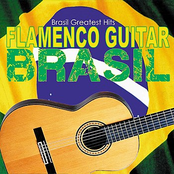 Flamenco Guitar Brasil