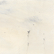 Alternate Moon Cycles