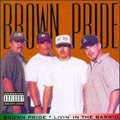 brown pride