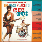 Amsterdam Beatclub: The Best Place to Go! Go!