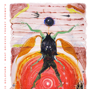 What Grieves Frenzy Drown'd