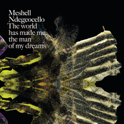 Meshell Ndegeocello: The World Has Made Me The Man Of My Dreams