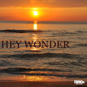 Hey Wonder - Single
