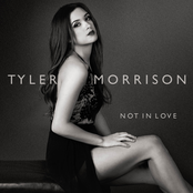 Not in Love - Single
