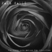 The White Rose Before The Guillotine