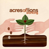 Acres of Lions - Working