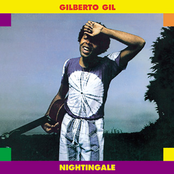 Goodbye My Girl by Gilberto Gil