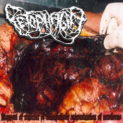 Disposal of Evidence of Cannibalistic Extermination..