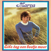 Elke dag een beetje meer