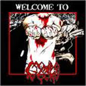 Welcome To Speed City