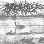 Expurgo / Submersed Cadaver