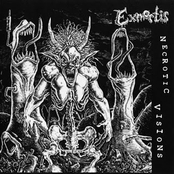 Necrotic Visions