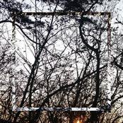 20th Century Without You