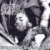 Slaughtered Slut on a Slab