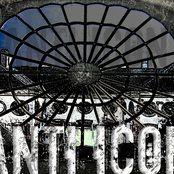 Anti Icon