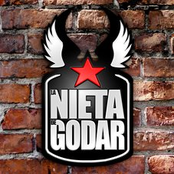 la nieta de godar