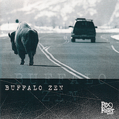 Buffalo Zen by Rex Foster