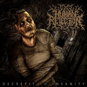 Decrepit To Insanity by Human Rejection