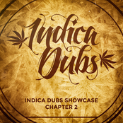 Indica Dubs Showcase Chapter 2