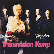 Transvision Vamp: Pop Art