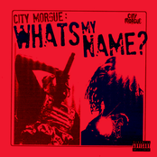 What's My Name