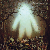 The Walk And Other Stories