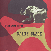 Duelling Elephants by Barry Black