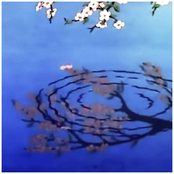 The Flower to Disappear