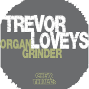 Organ Grinder by Trevor Loveys