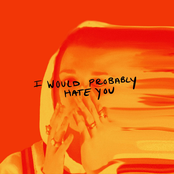 I Would Probably Hate You