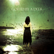 Tempered Tides - EP - EP