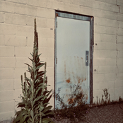 The Hacky Turtles: Dichotomy