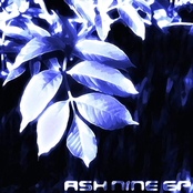 Ash Nine