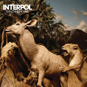 Interpol: Our Love to Admire