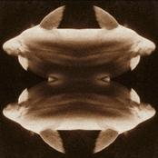 Do Fishes Dream of Dying Oceans?