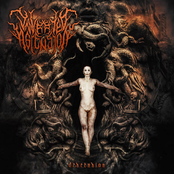 Descension