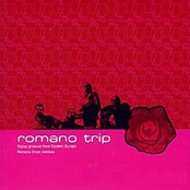 Romano Trip - Gypsy Grooves from Eastern Europe (Romano Drom Remixes)