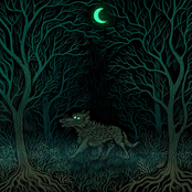 The Crooked Moon: Hungry Woods