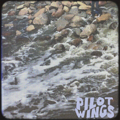 Pilotwings