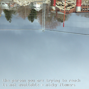 The Person You Are Trying to Reach Is Not Available