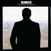 Blumfeld