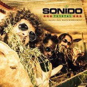 Las Bases del Razonamiento