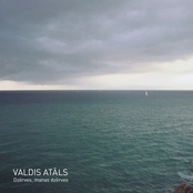 Dzērves, manas dzērves