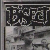 Nastepna Krwawa Interwencja