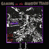 Gaming in the Manson Years II